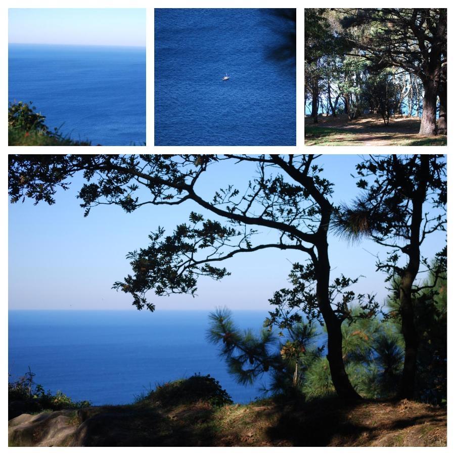 Amazing Views Over San Sebastian In A Family Cottage Exterior photo